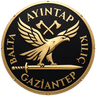 Ayintap Kilic Logo